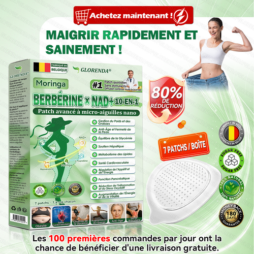 🔥 Plus que 10 boîtes ! –30 % Le patch GLORENDA® 10-en-1, testé par des médecins, soutient poids, glycémie, digestion et énergie. 4–6 patchs pour un soutien durable.