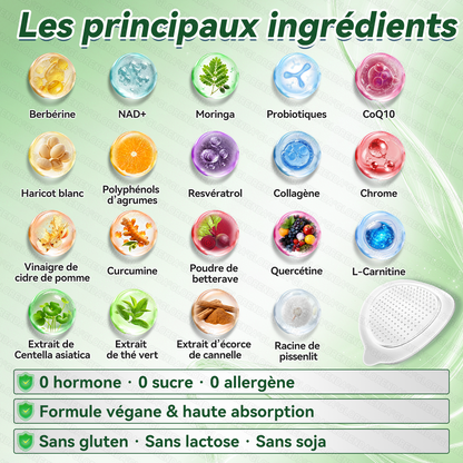 🔥 Plus que 10 boîtes ! –30 % Le patch GLORENDA® 10-en-1, testé par des médecins, soutient poids, glycémie, digestion et énergie. 4–6 patchs pour un soutien durable.